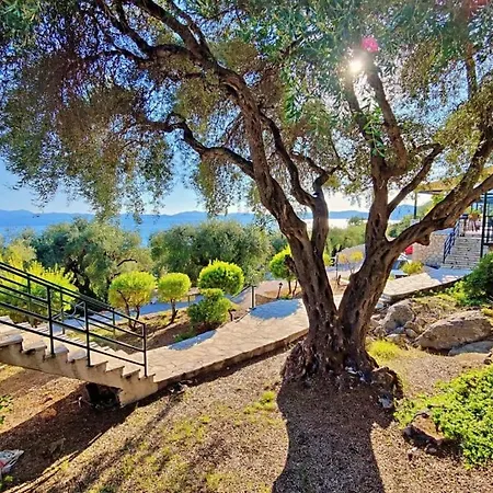 Kostas - A Few Steps Away From * Nisaki (Corfu)